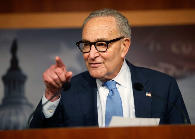 Schumer Lines up Behind Centrists in Senate Primaries