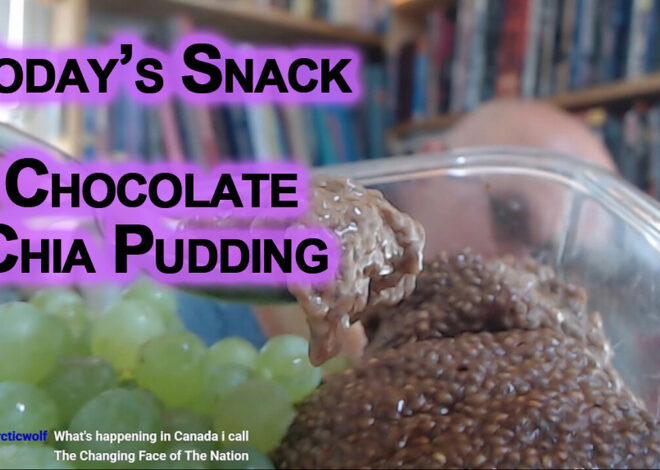 Todayâs Snack: Chocolate Chia Pudding/Mousse/SoufflÃ© With Garden Grapes [SEE LINK FOR RECIPE]