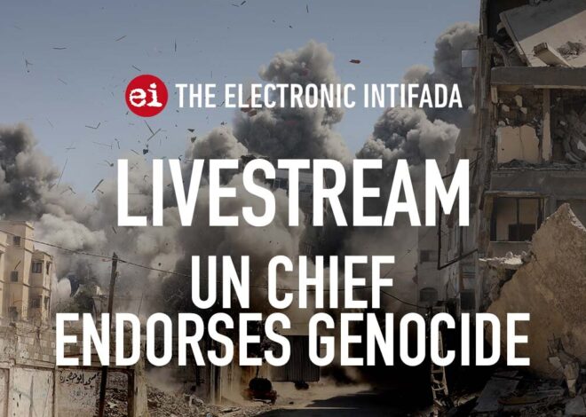 Breaking news and analysis on day 727 of the Gaza genocide | The Electronic Intifada