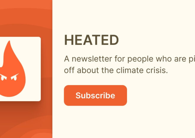 What should we expose next? – by Emily Atkin