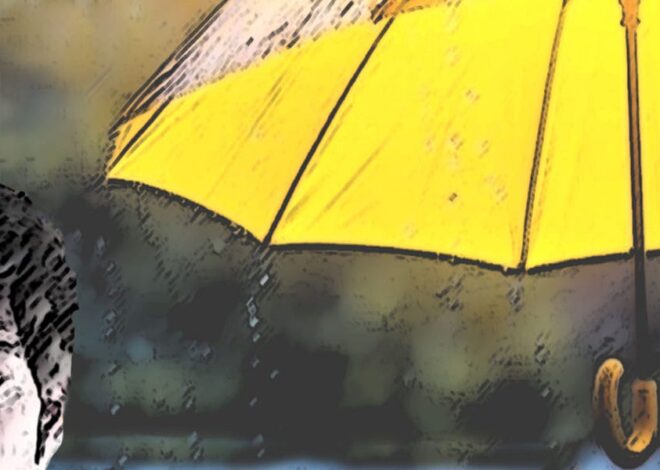 Sympathy – Polly’s Fringe Views