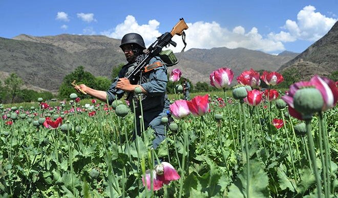 New Book Details How NATO and The CIA Installed The ‘World’s Leading Narco-State’ In Afghanistan.