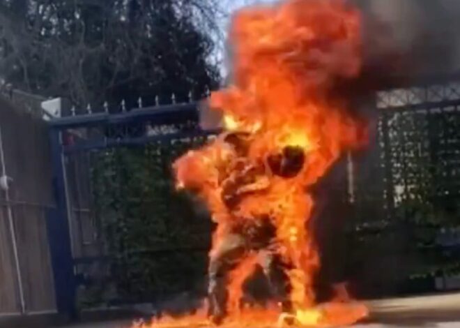Suicide is not the Answer. Self-Immolation Might Be an Answer.