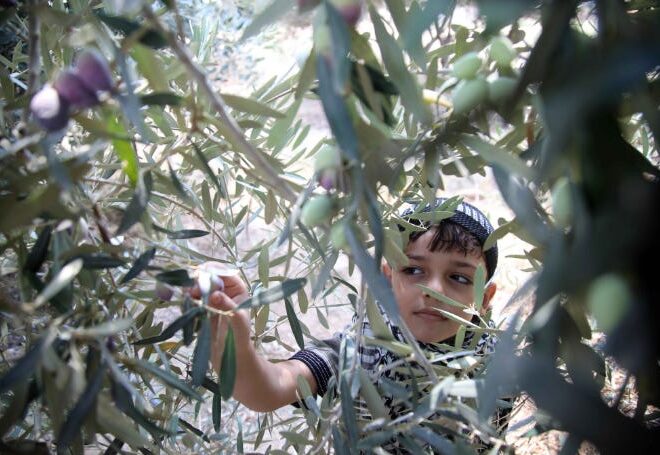 Why Its Story Matters to Us All