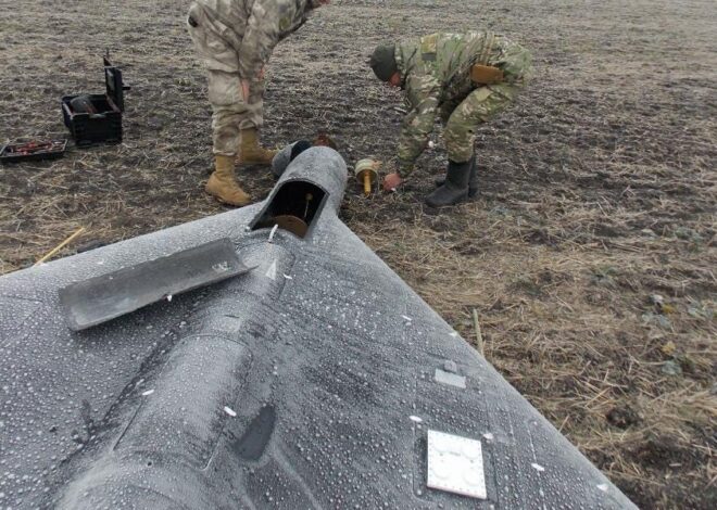 “Europe’s latest intelligence fakes.” – The Floutist