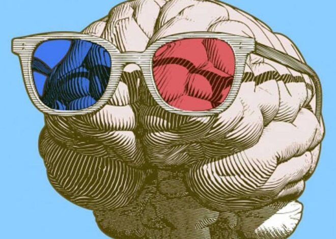 Discussing the partisan brain – by David S. D’Amato
