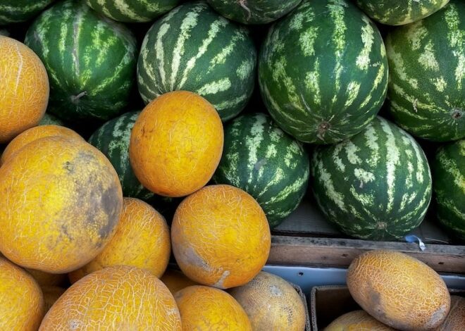 Guillotine Song – by Caitlin Johnstone