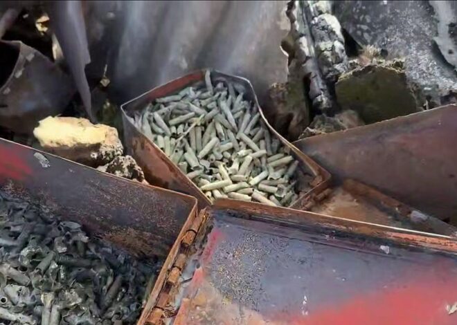 Situation Reports Part 4 – 2025-10-19