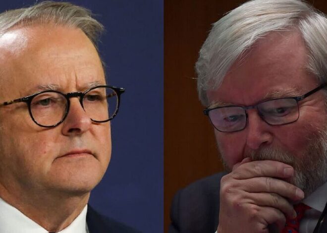 Betrayal in Washington: Albanese’s Circus of Shame