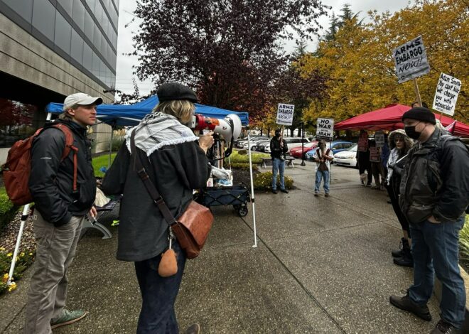 Stop Arming Israel!” campaign — Fight Back! News