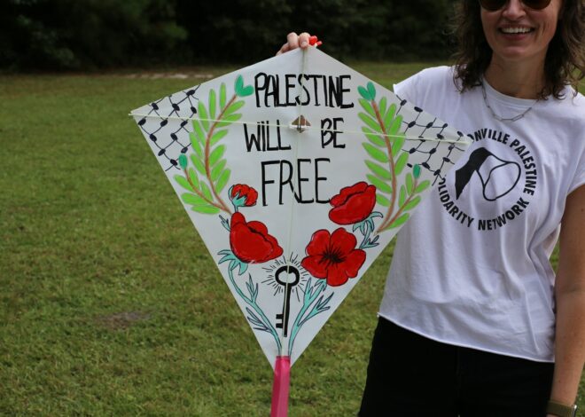 Kites in solidarity with Palestine — Fight Back! News
