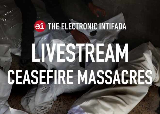 Breaking news and analysis on day 755 of the Gaza genocide | The Electronic Intifada