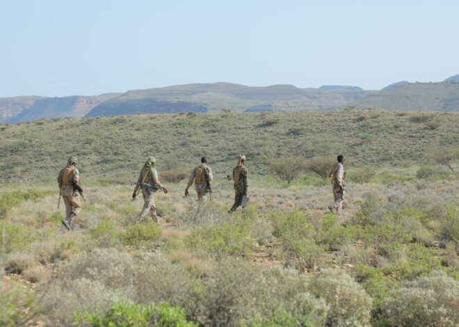 US Launches 82nd Airstrike of the Year in Somalia