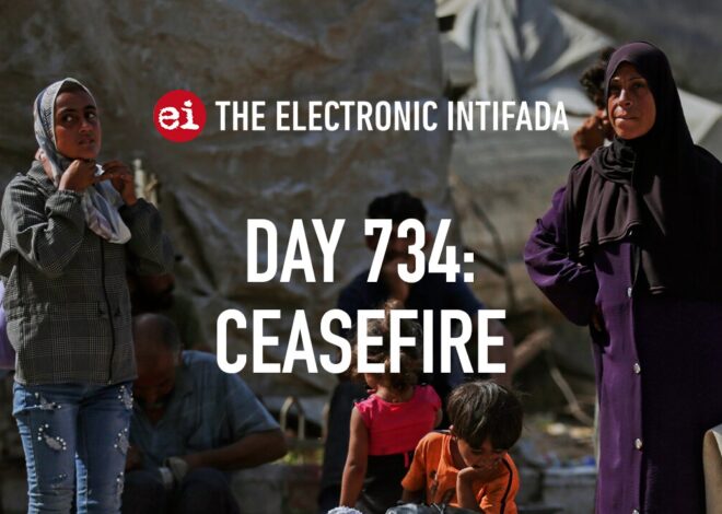Breaking news and analysis on day 734 of the Gaza genocide | The Electronic Intifada