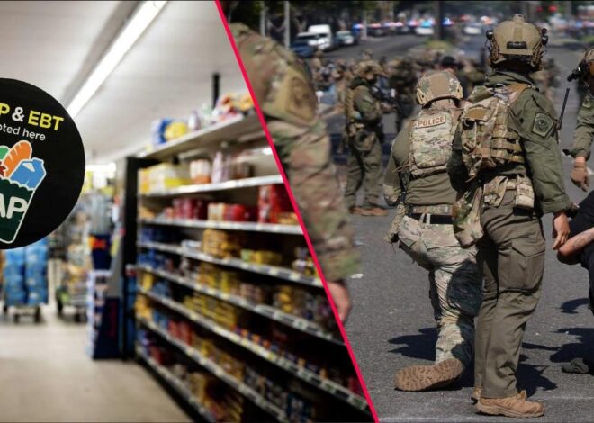 SNAP Benefits Are Running out, but ICE Agents Are Cashing Checks