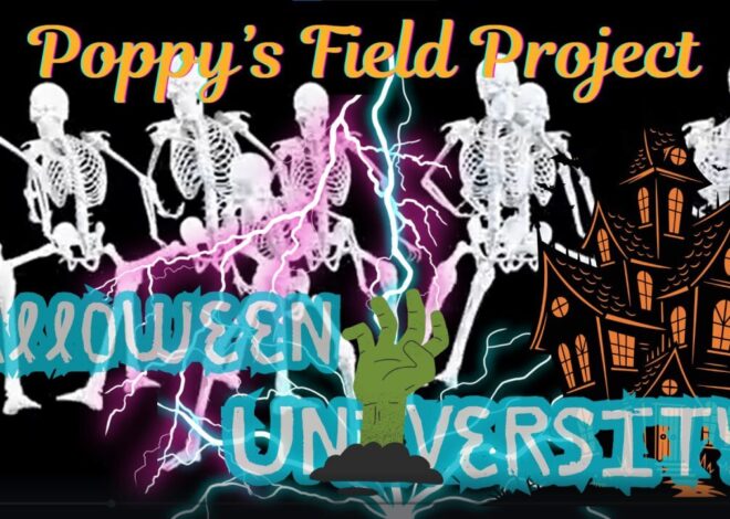 10/29/2025 Poppy’s Field Project