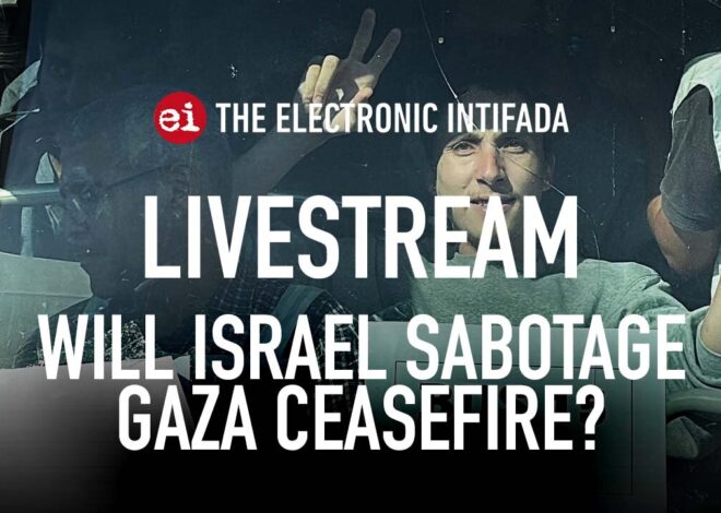 Breaking news and analysis on day 741 of the Gaza genocide | The Electronic Intifada