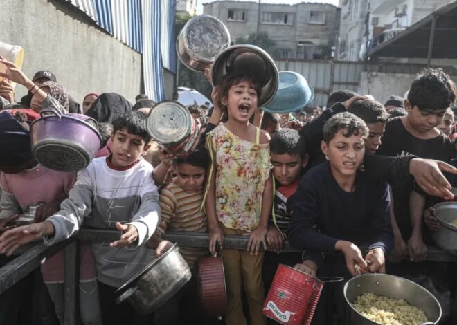 Not a Ceasefire Day 47