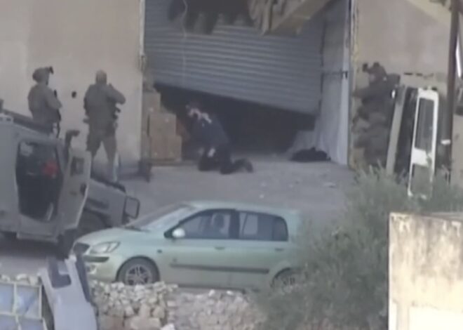 Israeli forces’ extrajudicial executions – Not a Ceasefire Day 49