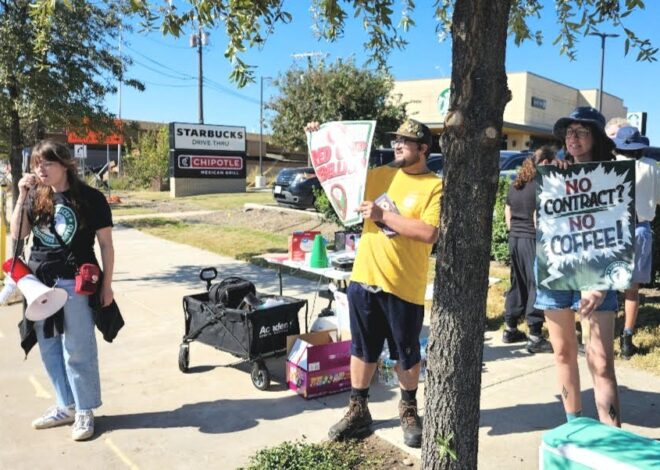 Starbucks workers begin strike — Fight Back! News
