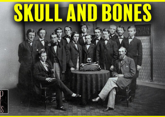 Skulls And Groves As We Get Deep In The Weeds