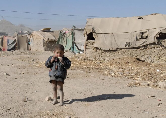 How Fear Is Being Weaponized to Gut U.S. Asylum Protections