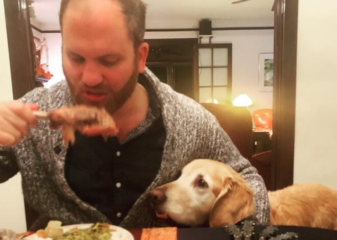 Help a Broke Labor Reporter Take Off Thanksgiving