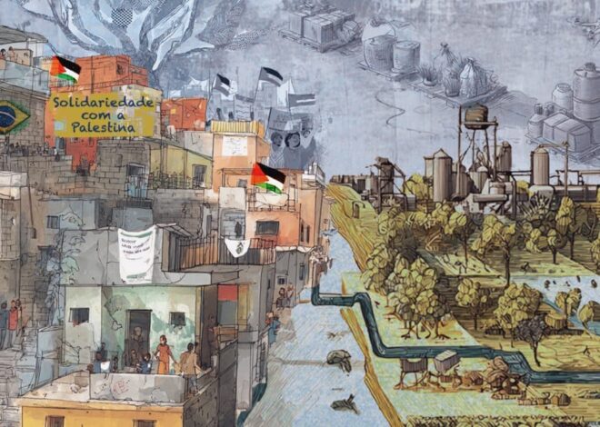 How militarism and greenwashing shape Brazilian relations, resistance, and solidarity with Palestine – Mondoweiss