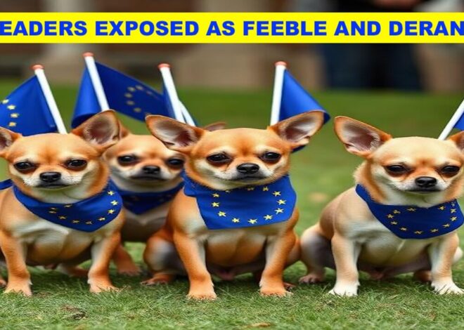 UK FALSE FLAGS INCOMING TO STOP PEACE NEGOTIATIONS – EU LEADERS EXPOSED AS FEEBLE AND DERANGED