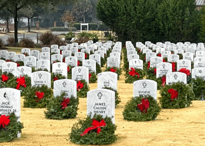 Honor Veterans by Ending Wars