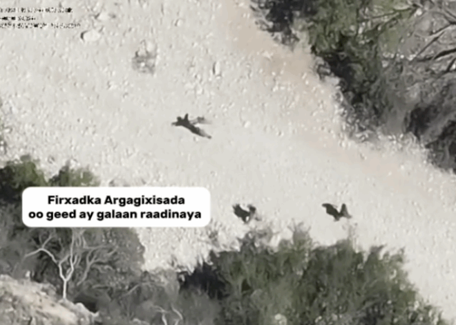 US Bombs Somalia for 97th Time This Year