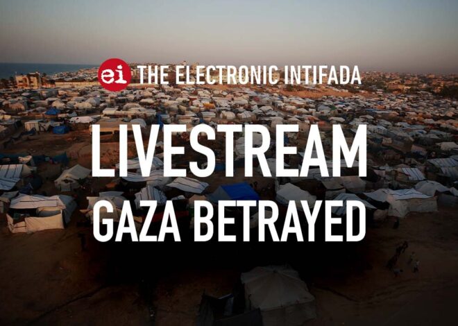 Breaking news and analysis on day 776 of the Gaza genocide | The Electronic Intifada