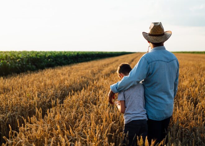 Tragic Idealism and the Art of ‘The Impossible’ – OffGuardian