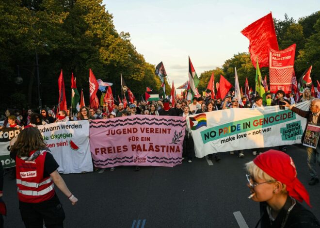 Die Linke’s Youth Passes a Pro-Palestinian Resolution — and the Party Attacks Them