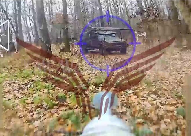 Telegram SITREP Part 1 – 2025-11-18