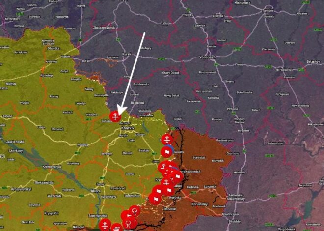 Telegram SITREP Part 1 – 2025-11-23