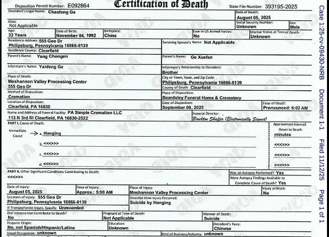 Inside the ICE Facility Where Suicide Comes With Bound Hands