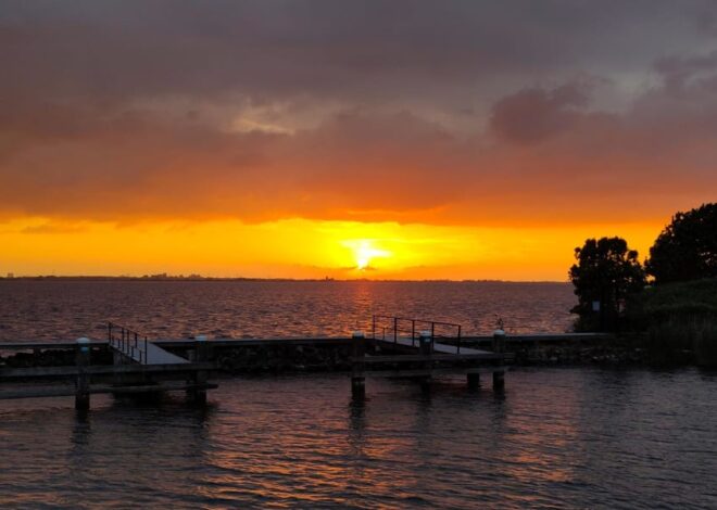 Understanding the Drivers of Controversy, Uncertainties, and Distrust in Public Policy