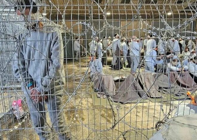 New Report Shows That Israel Tortured Palestinian Children At Sde Teiman.