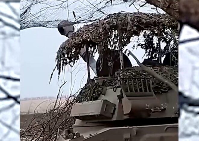 Telegram SITREP Part 1 – 2025-11-19