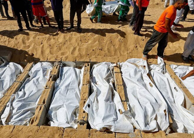 The Global Zionist Organ Trafficking Conspiracy