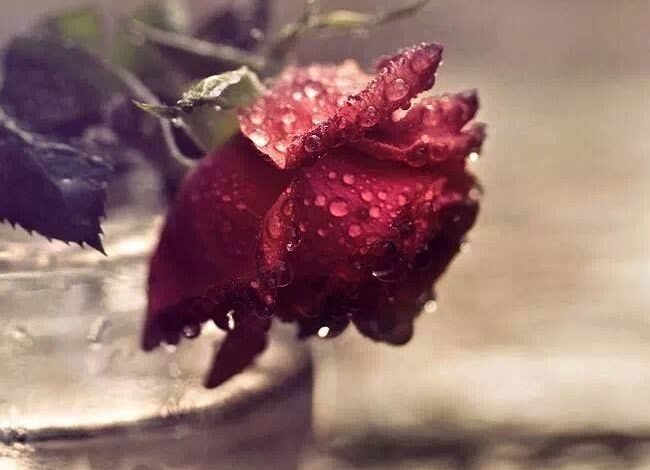 I Wonder if I Matter…