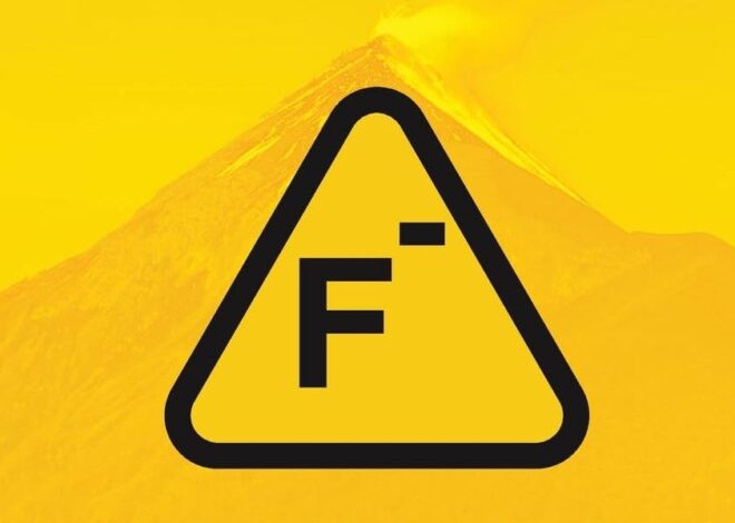 Read My Essay in This New Fluoride Book!