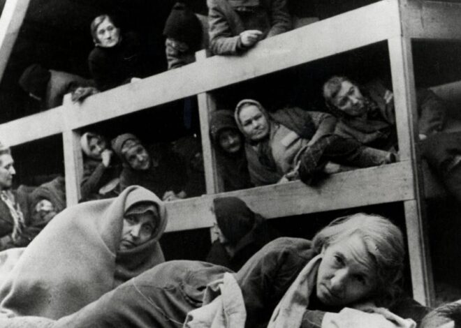 “You Have a Mother” – The Chris Hedges Report