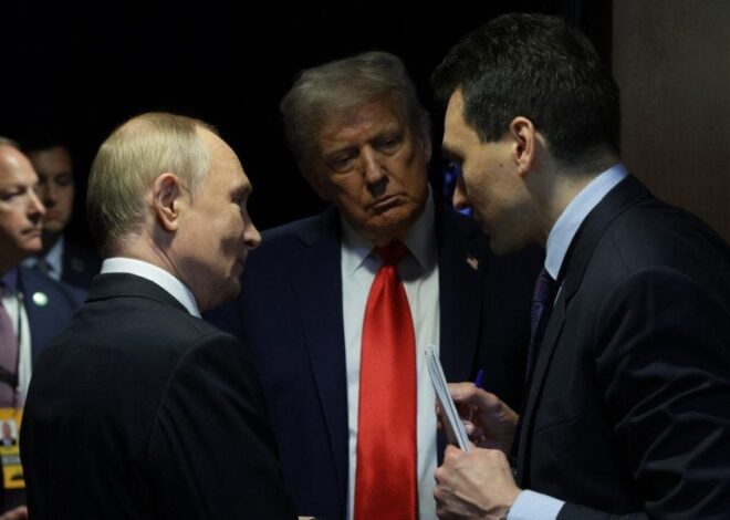 Thugs vs Wimps in the House of Dynamite