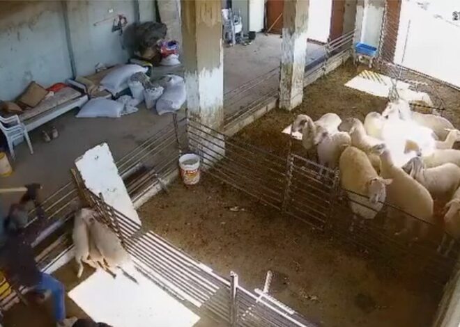 “Stick, stones, matches, gasoline.” – by Cara MariAnna