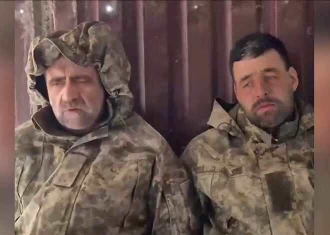 Situation Reports Part 3 – 2025-11-13