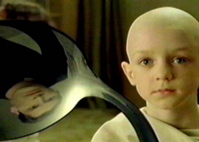 There Was No Virus – James Roguski