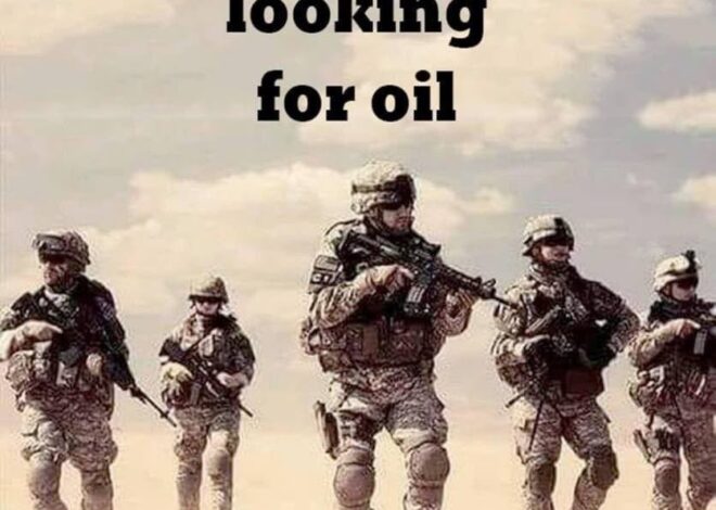 Situation Reports Part 3 – 2025-11-04