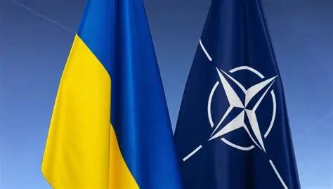 Former Zelenskyy Press Secretary Explains How Keeping NATO Membership On The Table For Ukraine Will Prolong The War.
